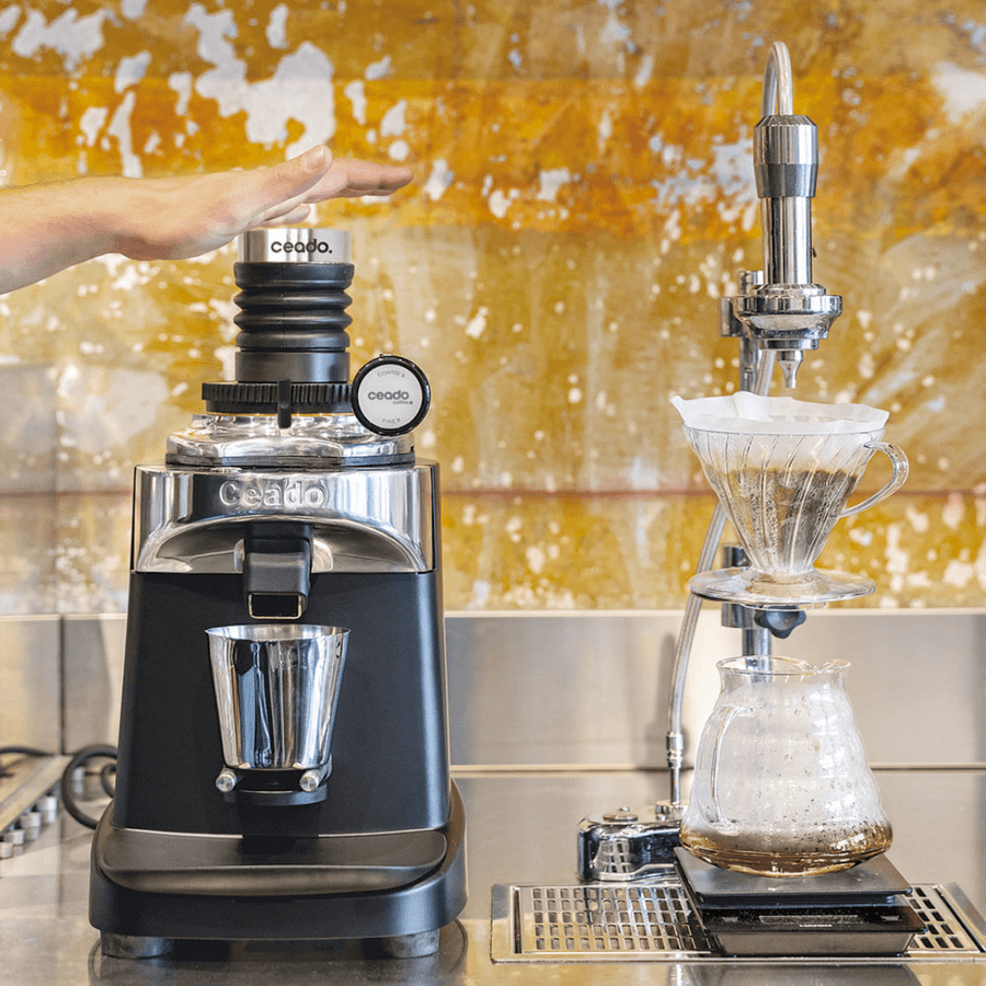 Gaggia Classic Pro E24 Espresso Machine Overview Gaggia Classic Pro E24 Espresso Machine Overview