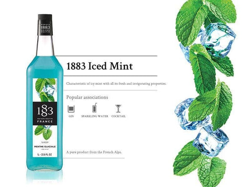 1883 - 1L Glass Bottle - Iced Mint Syrup